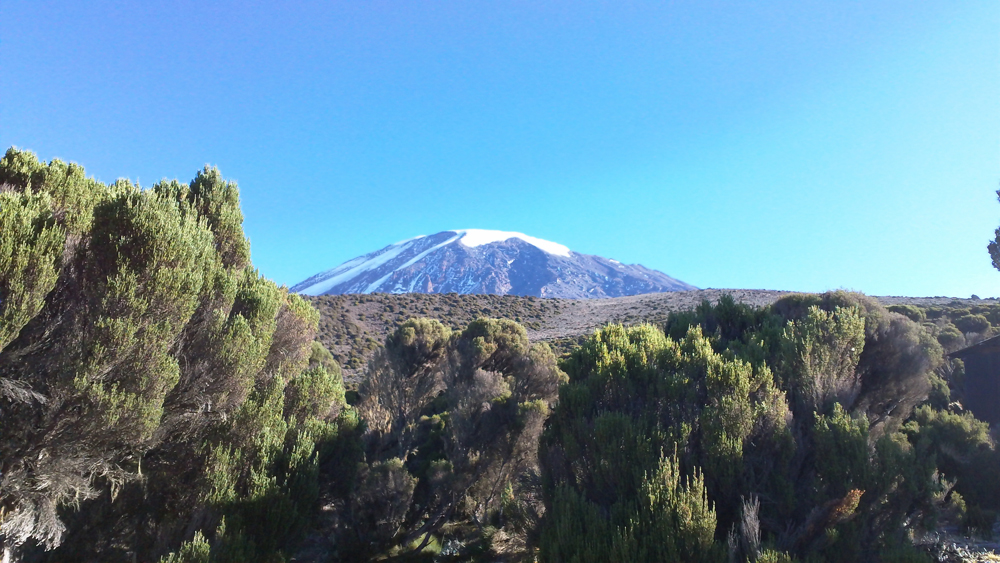 kili